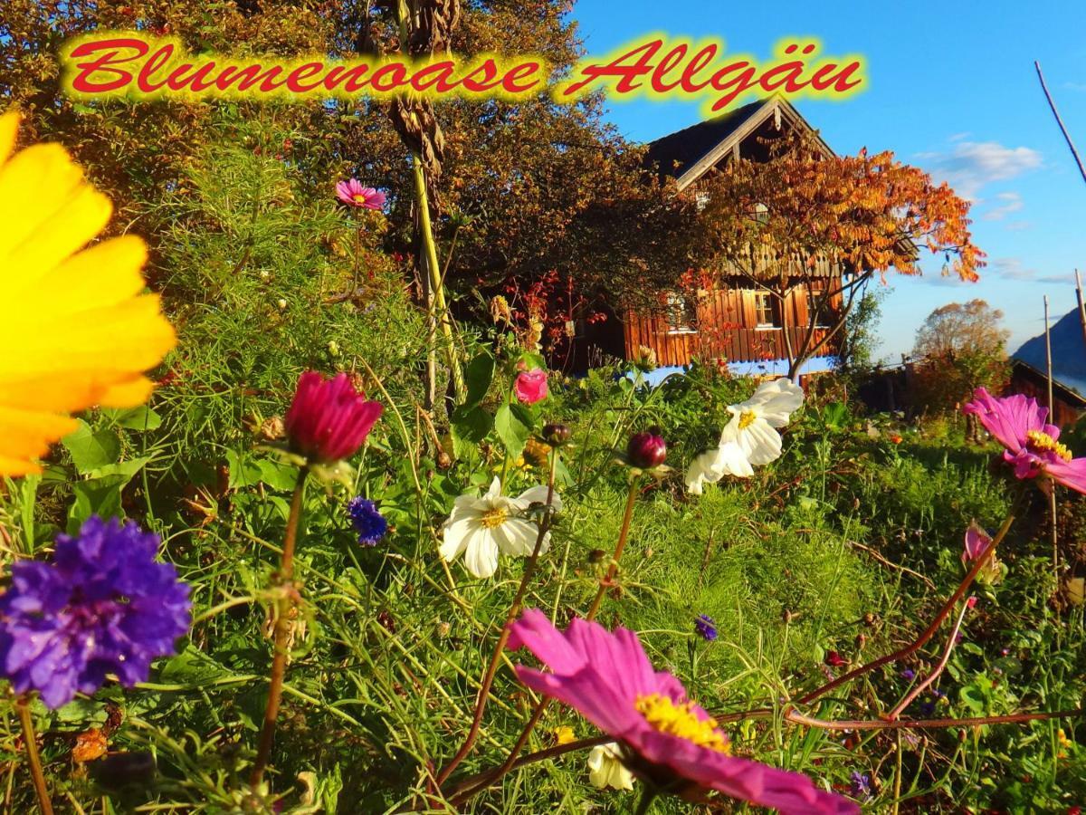 Ferienwohnung Blumenoase Allgäu Schwanden Exterior foto